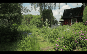 Bildschirmfoto 2016-05-30 um 20.19.35